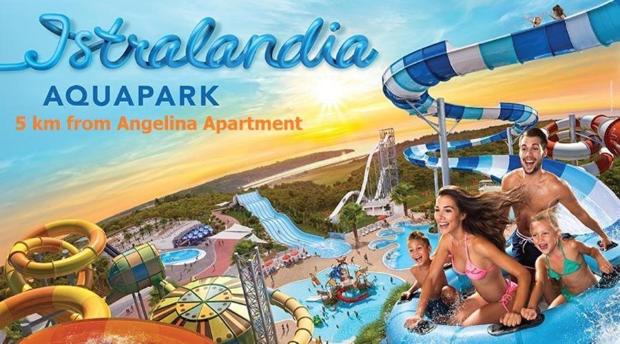 Apartment Villa Angelina, 70M From The Beach, Free Parking Novigrad  Exterior photo