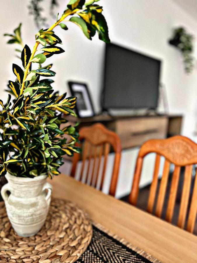 Apartment Villa Angelina, 70M From The Beach, Free Parking Novigrad  Exterior photo